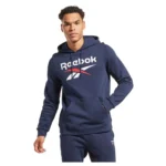 Ri Flc Big Logo Hood – Image 2